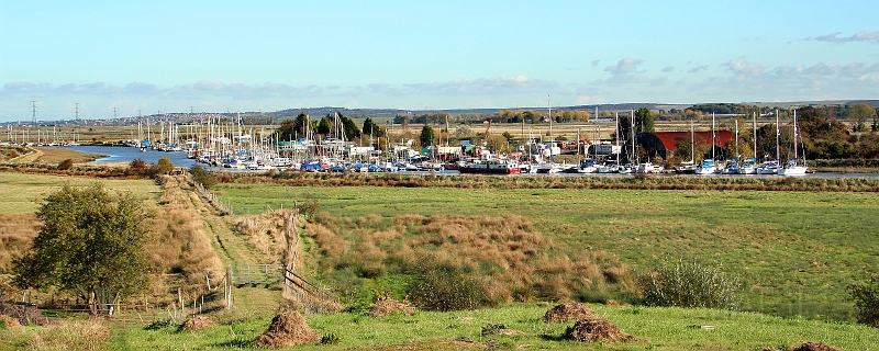 Oare.jpg