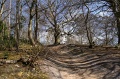Perrywood